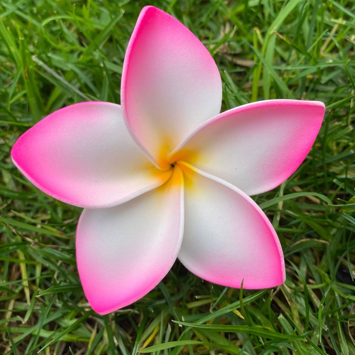 Amaia Large Frangipani Sei Faux Hair Flowers Pacific Islander Womens Accessories 9cm Tekiteki - Island Aesthetica