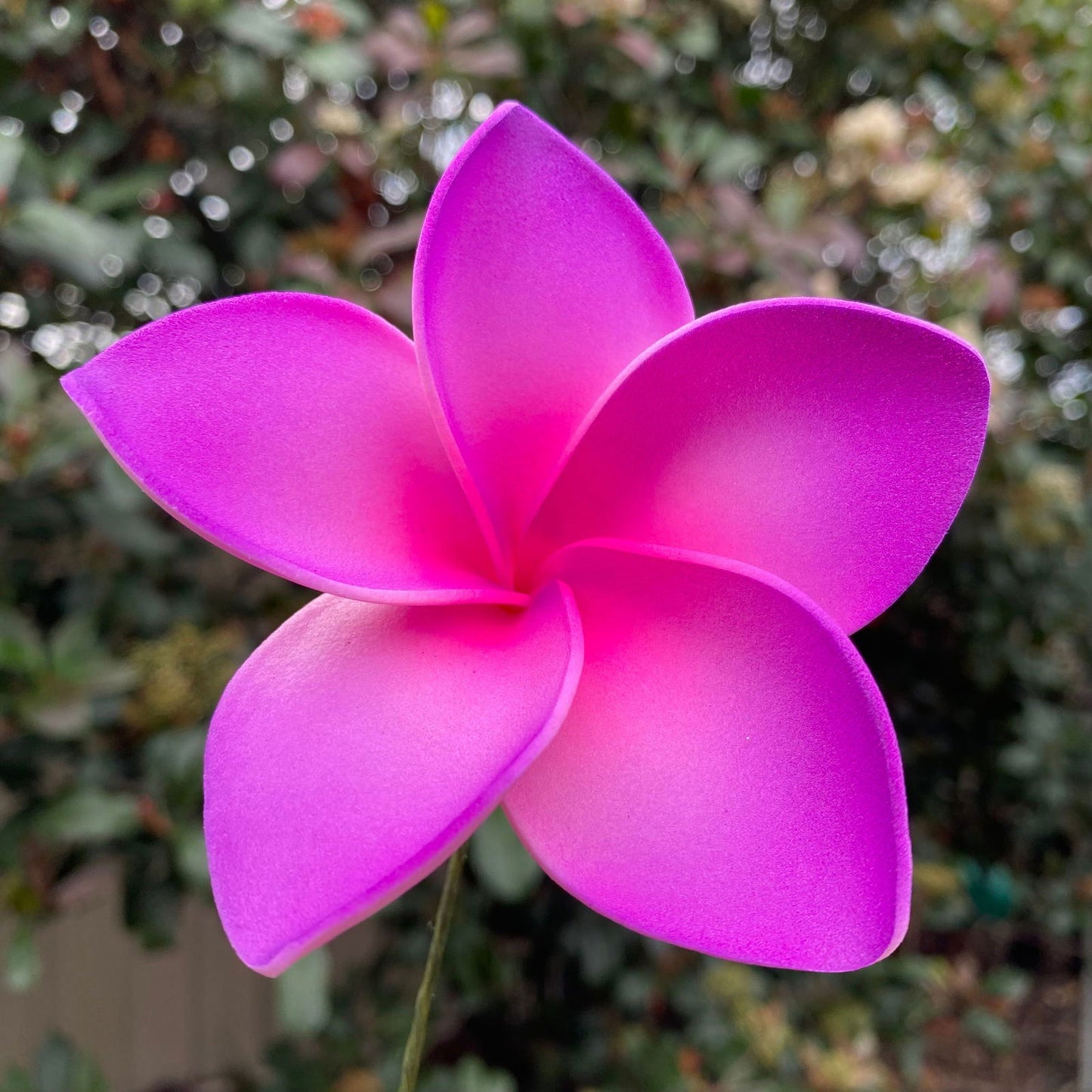 Amaia Large Frangipani Sei Faux Hair Flowers Pacific Islander Womens Accessories 9cm Tekiteki - Island Aesthetica