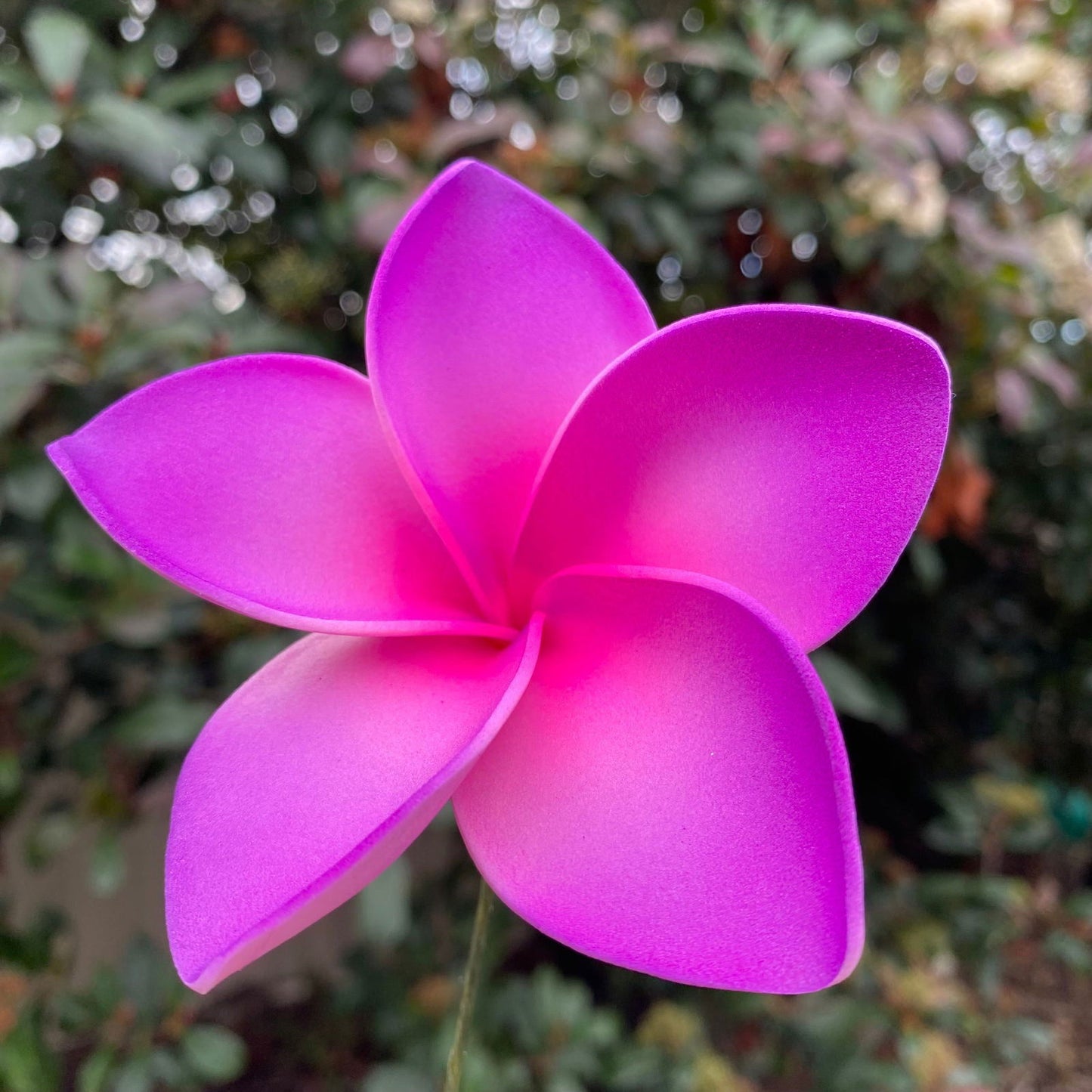 Amaia Large Frangipani Sei Faux Hair Flowers Pacific Islander Womens Accessories 9cm Tekiteki - Island Aesthetica