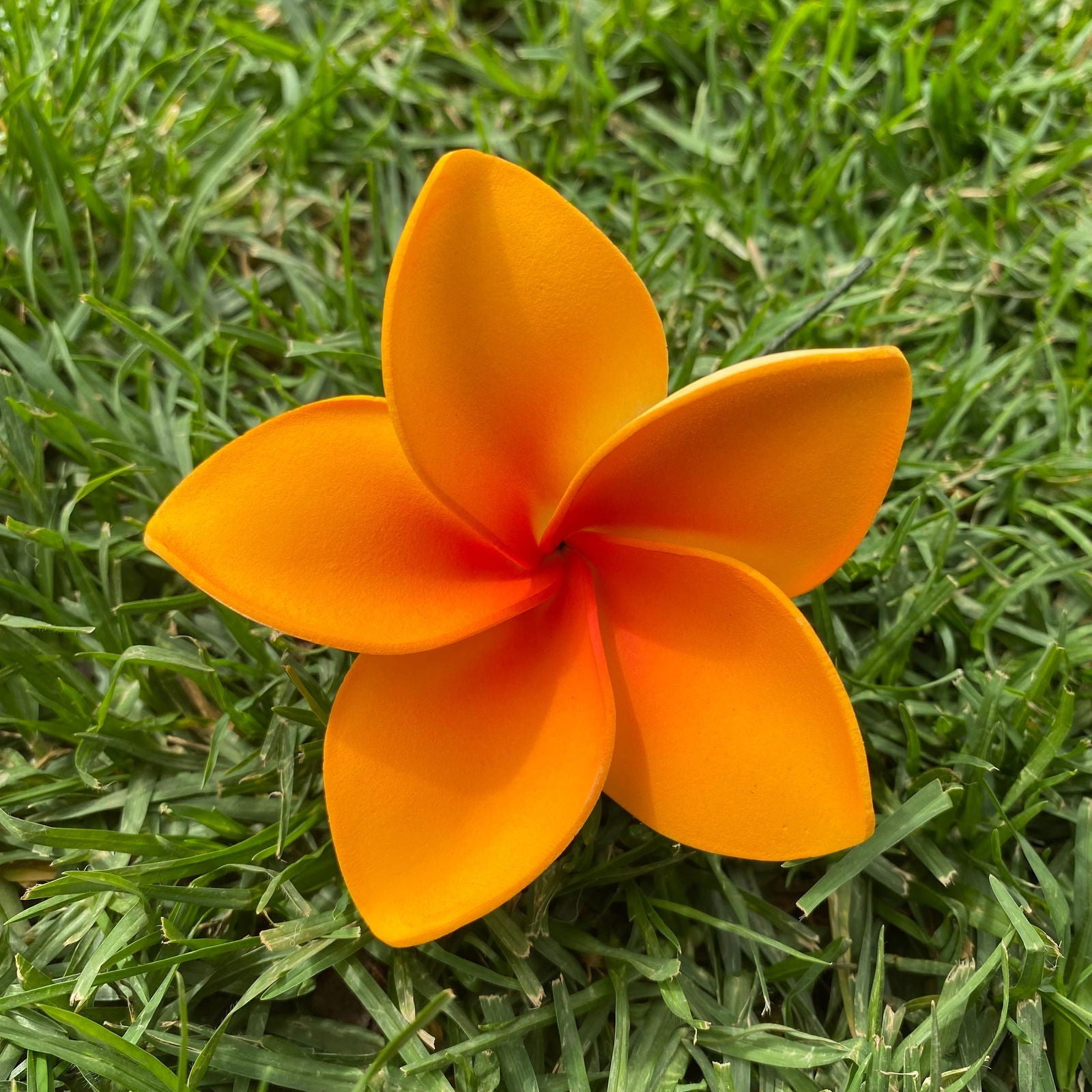 Amaia Large Frangipani Sei Faux Hair Flowers Pacific Islander Womens Accessories 9cm Tekiteki - Island Aesthetica