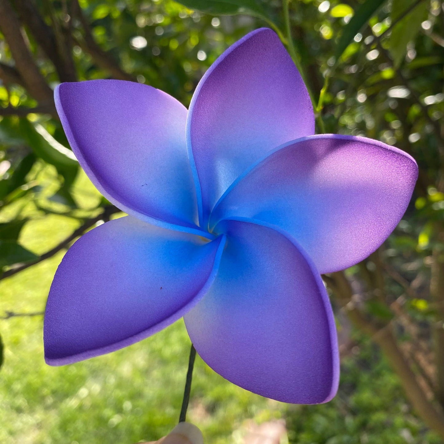 Amaia Large Frangipani Sei Faux Hair Flowers Pacific Islander Womens Accessories 9cm Tekiteki - Island Aesthetica