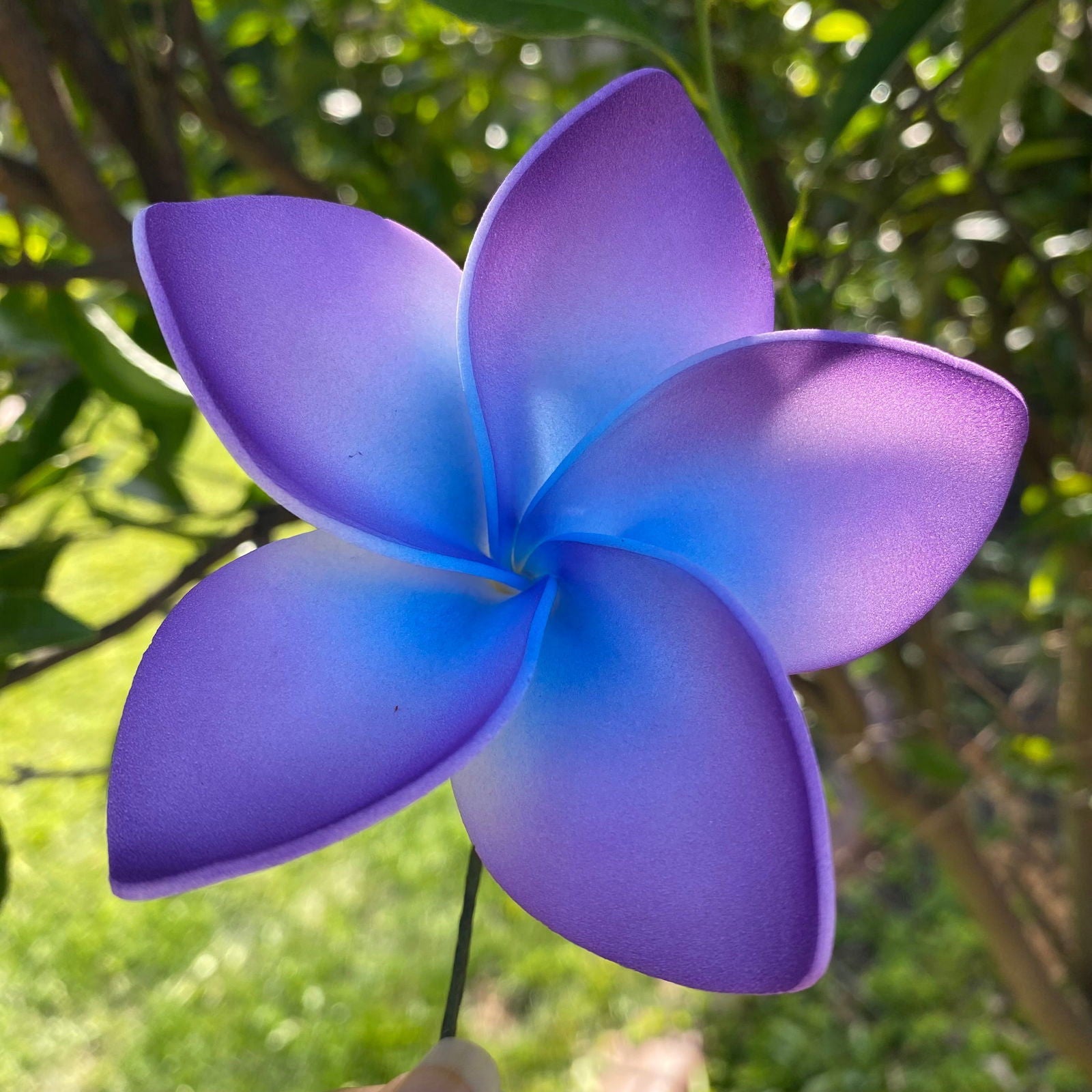 Amaia Large Frangipani Sei Faux Hair Flowers Pacific Islander Womens Accessories 9cm Tekiteki - Island Aesthetica