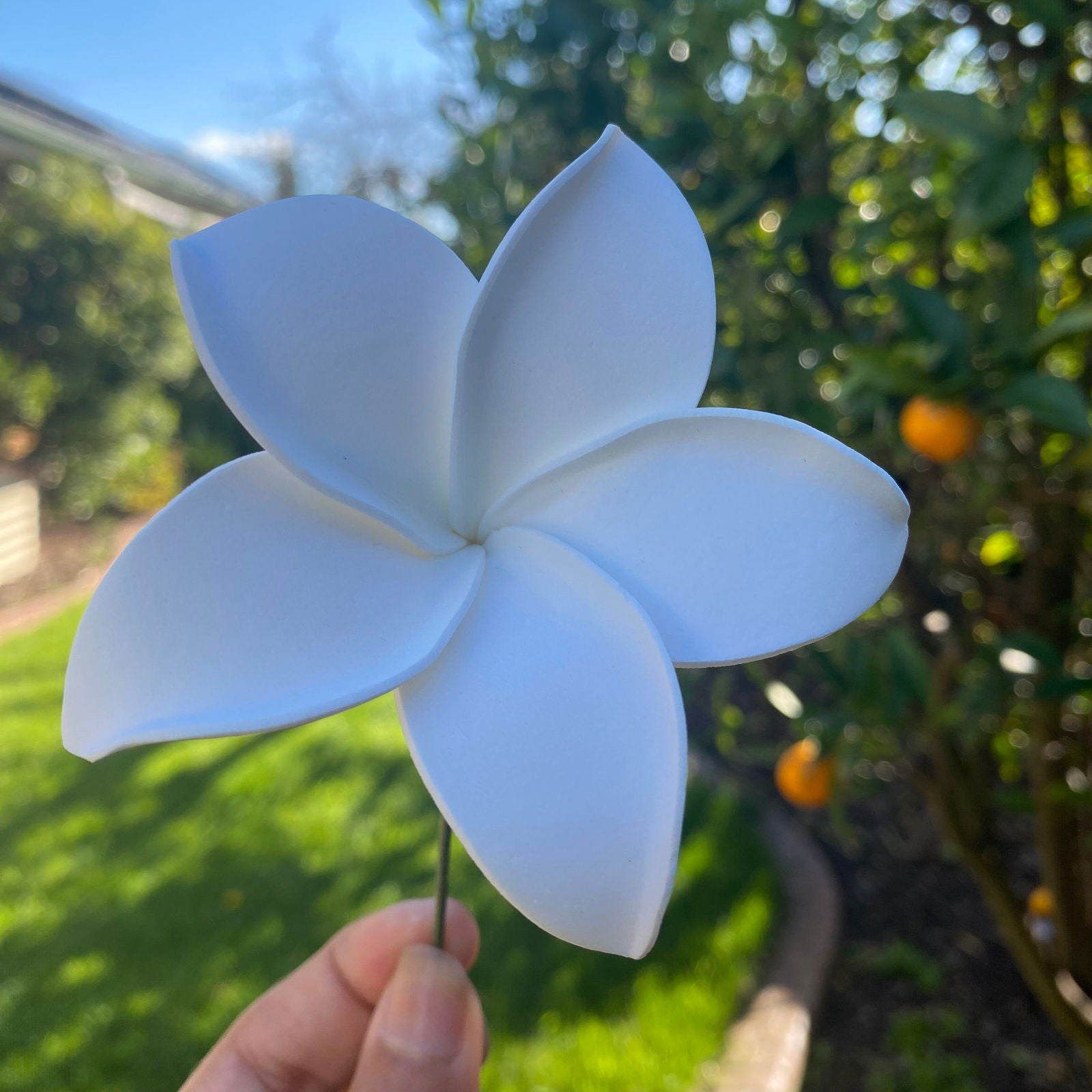 Ane Assorted Frangipani (10x) Sei Gift Box Tekiteki #product_variant# - Island Aesthetica