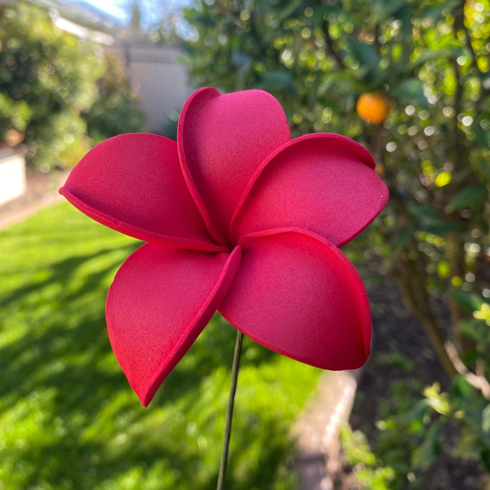 Ane Assorted Frangipani (10x) Sei Gift Box Tekiteki #product_variant# - Island Aesthetica