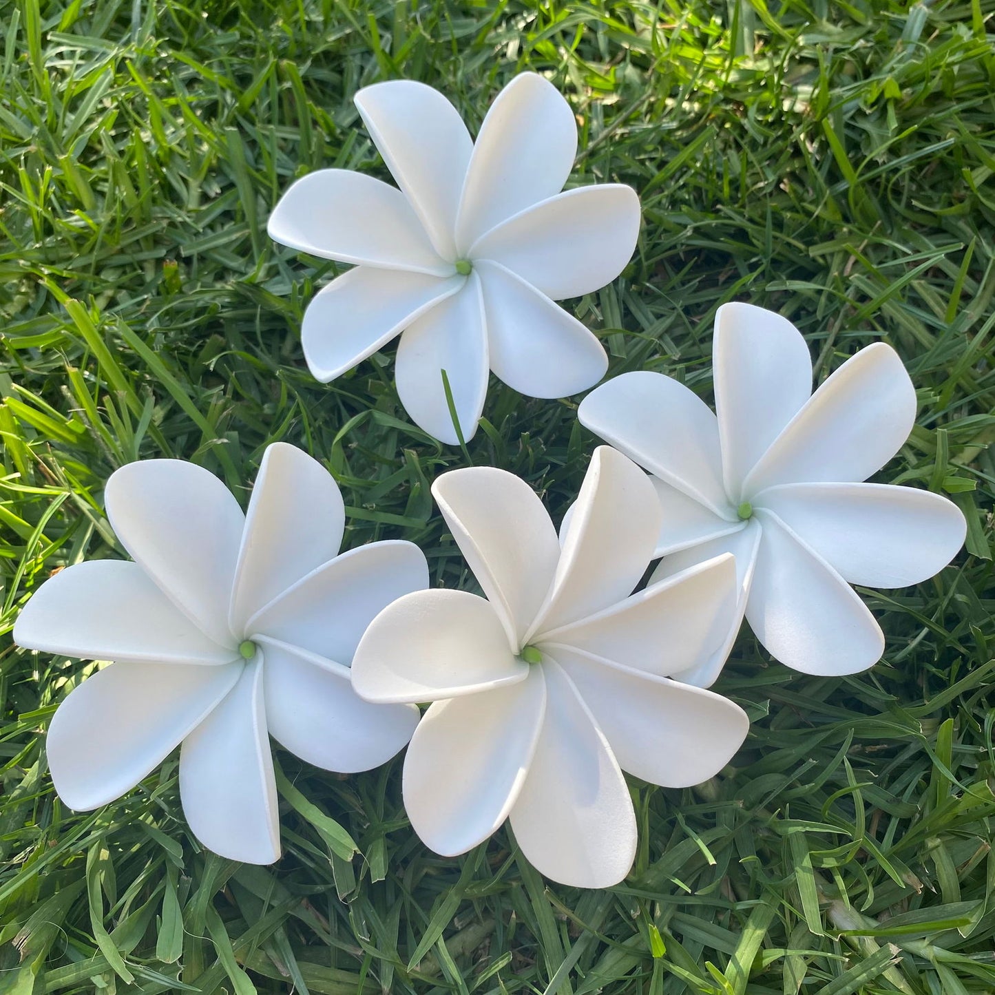 Ayla Tiare (20x) Sei Value Pack Hair Flowers Gift Box #product_variant# - Island Aesthetica