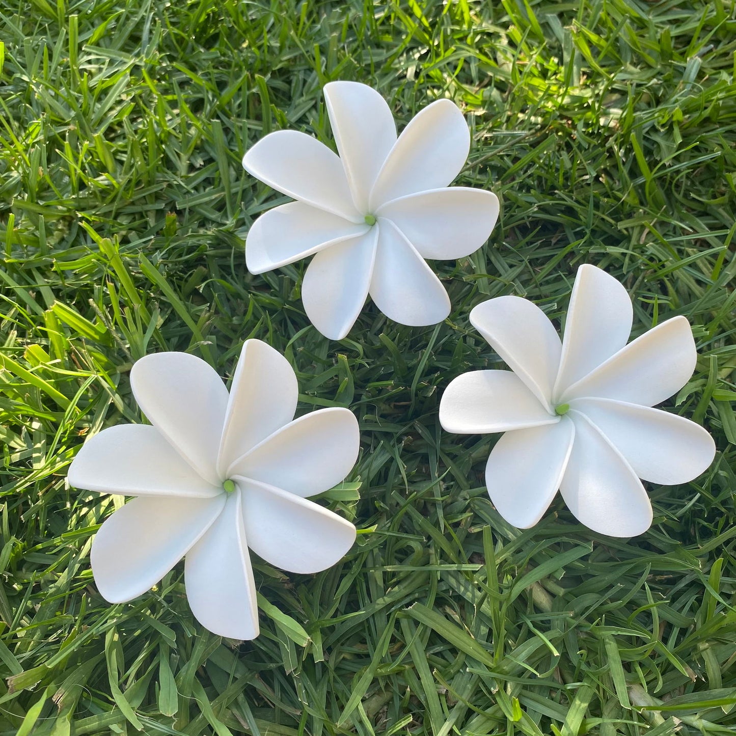 Ayla Tiare (20x) Sei Value Pack Hair Flowers Gift Box #product_variant# - Island Aesthetica