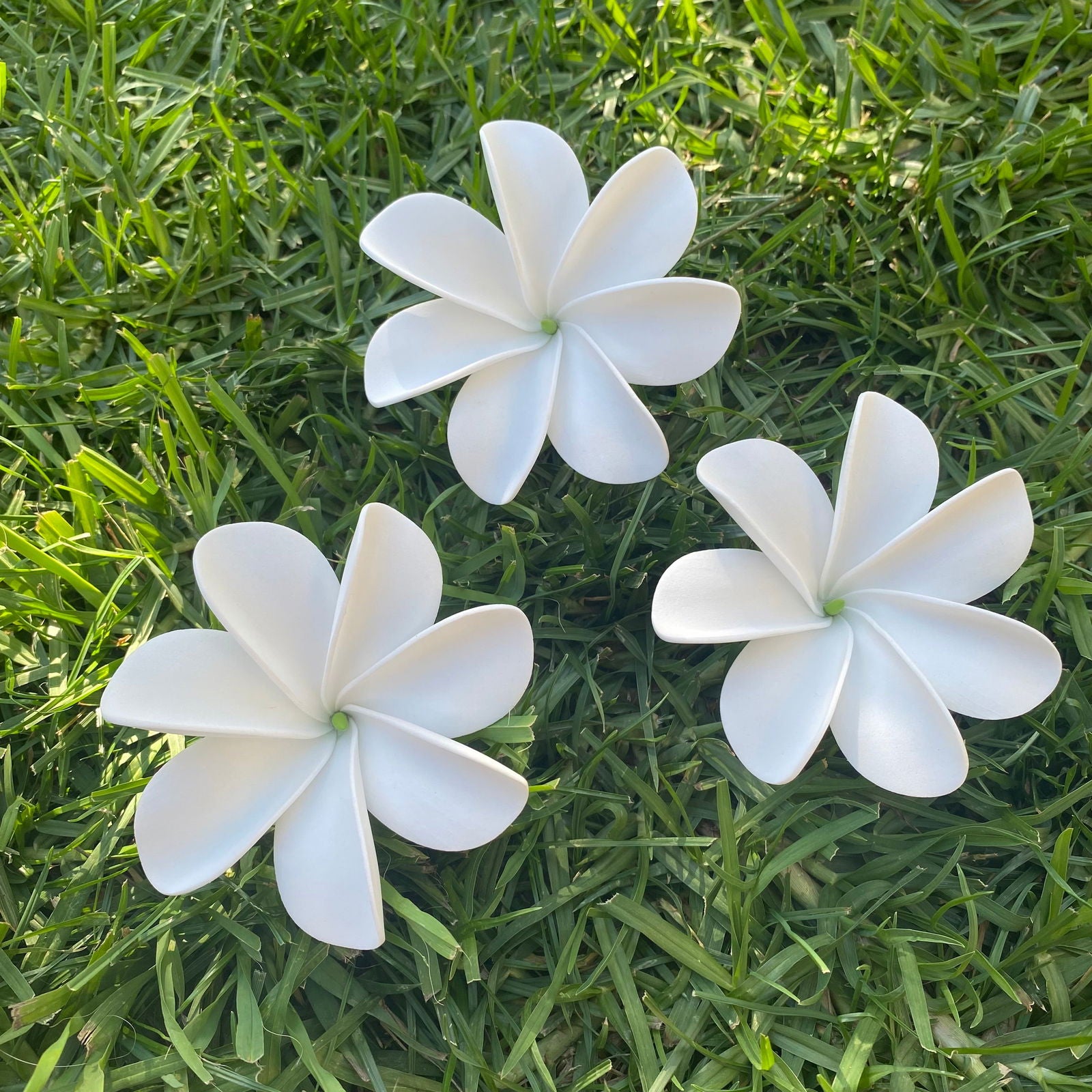 Ayla Tiare (20x) Sei Value Pack Hair Flowers Gift Box #product_variant# - Island Aesthetica