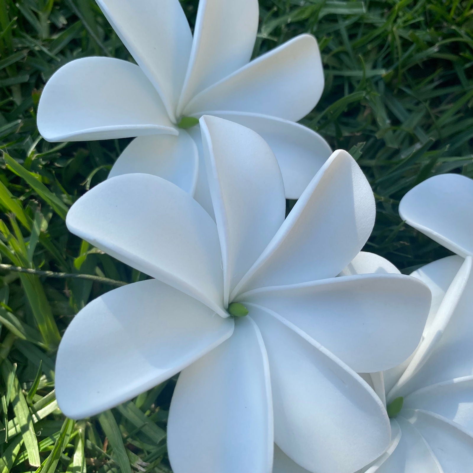 Ayla Tiare (20x) Sei Value Pack Hair Flowers Gift Box #product_variant# - Island Aesthetica