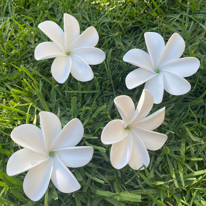 Ayla Tiare (20x) Sei Value Pack Hair Flowers Gift Box #product_variant# - Island Aesthetica