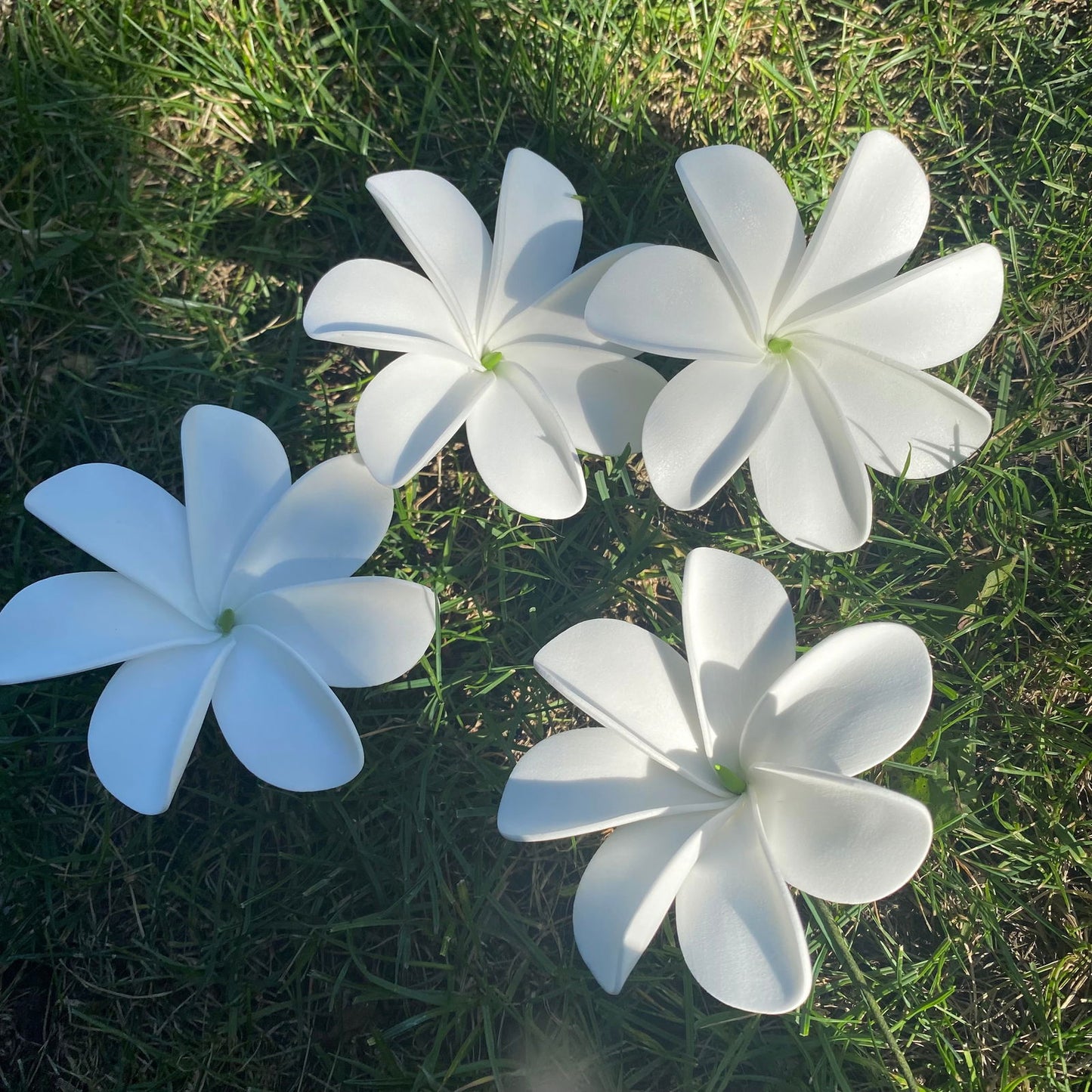 Ayla Tiare (20x) Sei Value Pack Hair Flowers Gift Box #product_variant# - Island Aesthetica