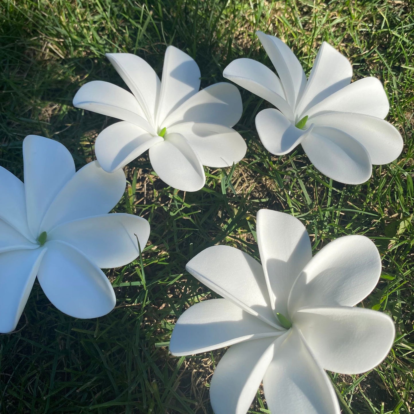 Ayla Tiare (20x) Sei Value Pack Hair Flowers Gift Box #product_variant# - Island Aesthetica