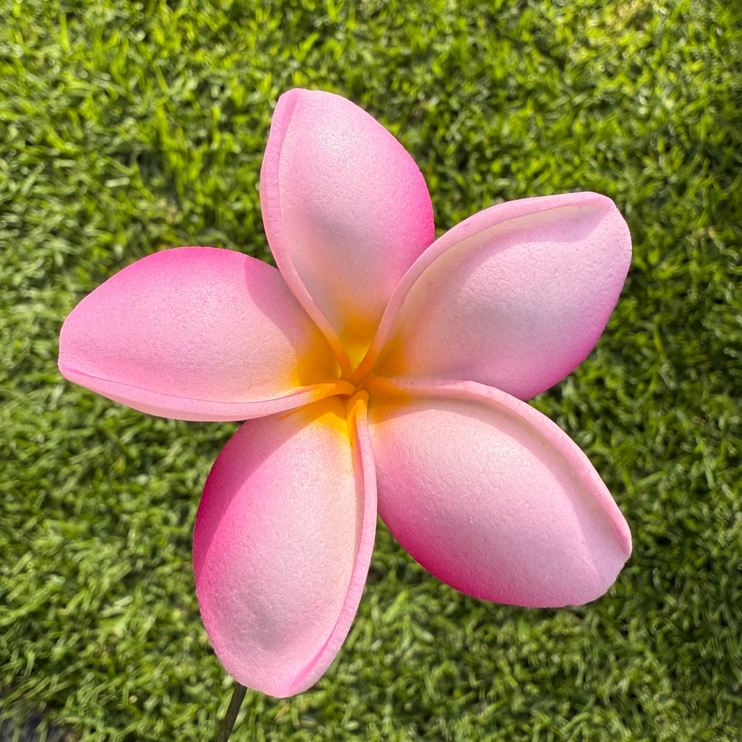 Malia Small Frangipani Sei Flowers 6cm - Island Aesthetica
