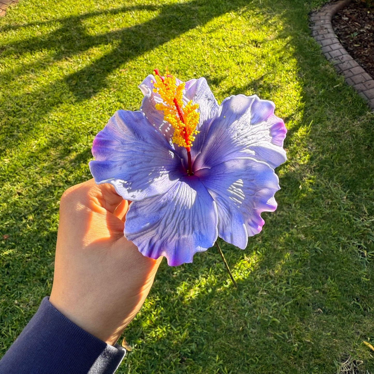 Lupeni XL Gradient Hibiscus Flowers 10cm