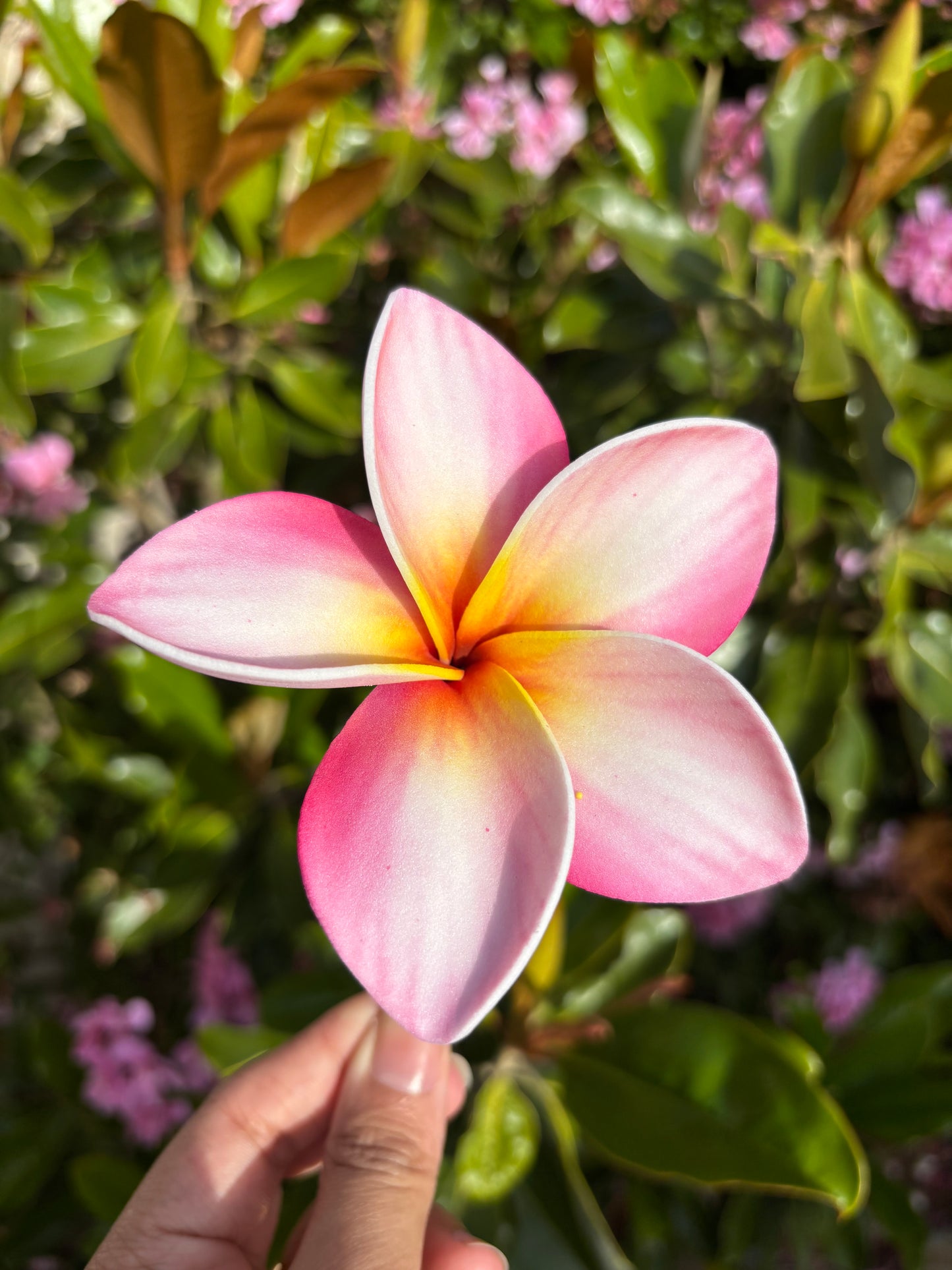Atalina Frangipani Sei Flowers Size L Pacific Islands Polynesian Hair Flowers Pua