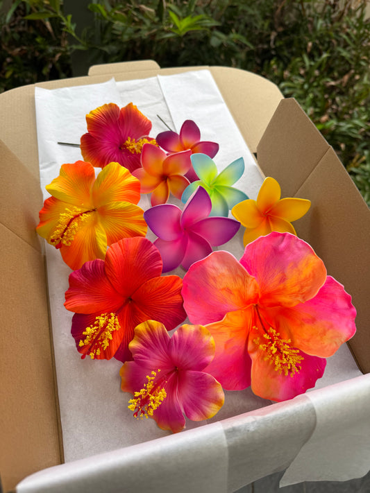 Alaula (10x) Assorted Sei Flowers Gift Box Pua