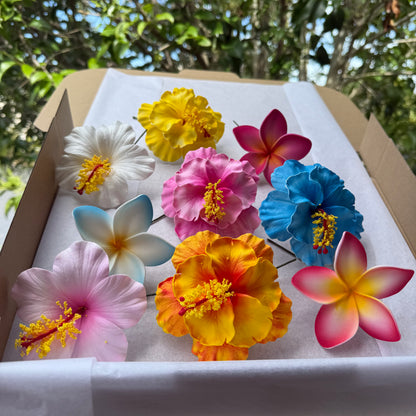 Shya Assorted Flowers (9x) Gift Box