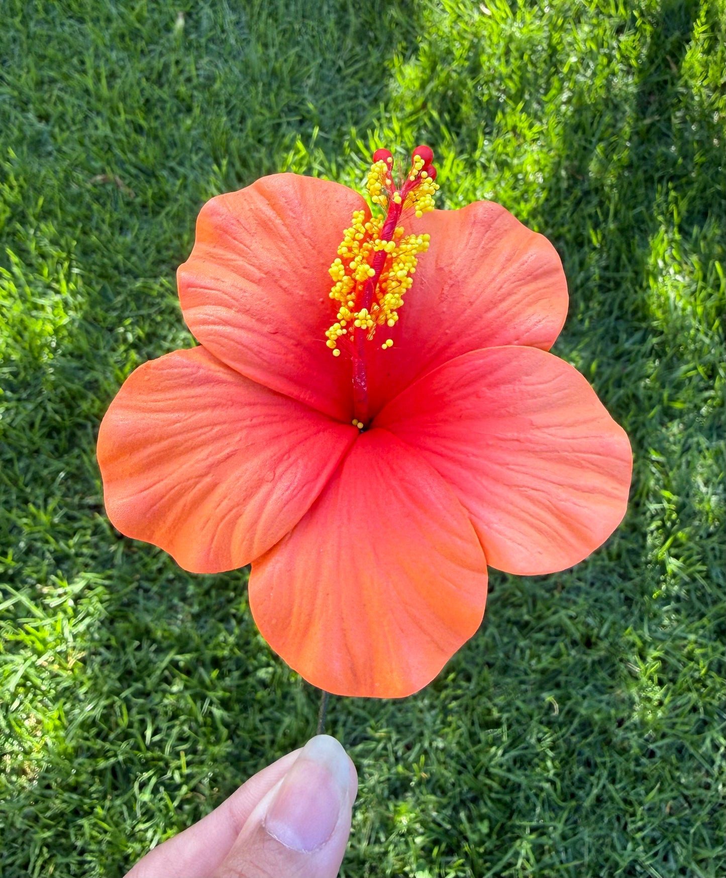 Leleana Mini Hibiscus Sei Flowers 8cm Aute Pacifika Pua