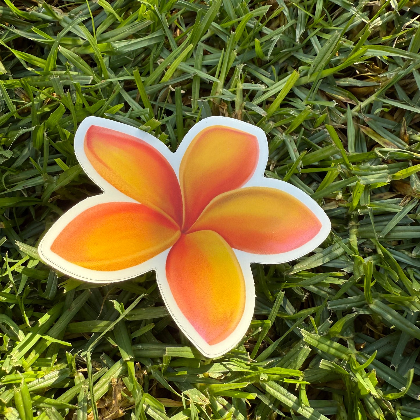 Plumeria Stickers