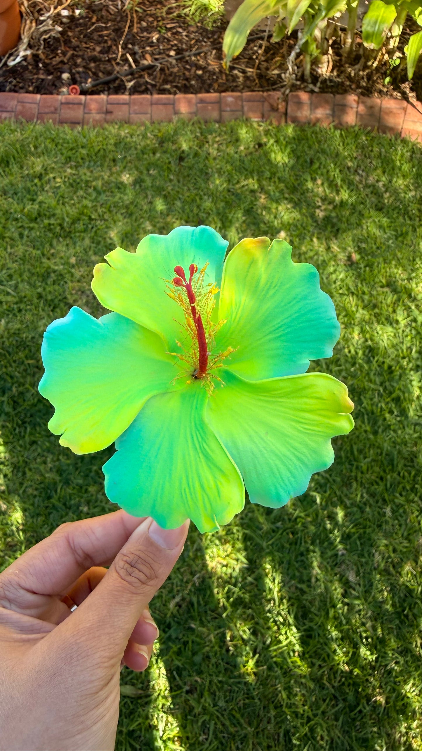 XL Gradient Hibiscus Polynesian Sei Hair Flowers 10cm