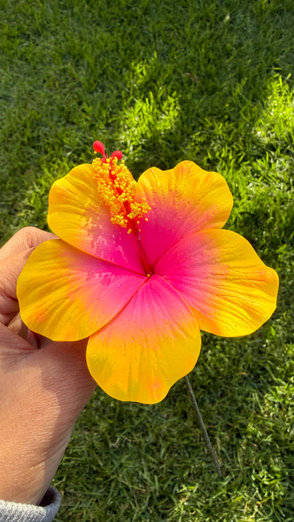 Leleana Mini Hibiscus Sei Flowers 8cm Aute Pacifika Pua