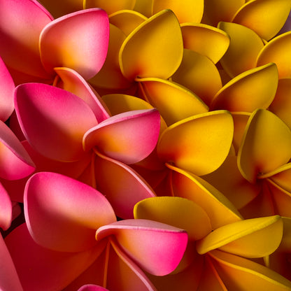 Amaia Large Frangipani Sei Faux Hair Flowers Pacific Islander Womens Accessories 9cm Tekiteki - Island Aesthetica