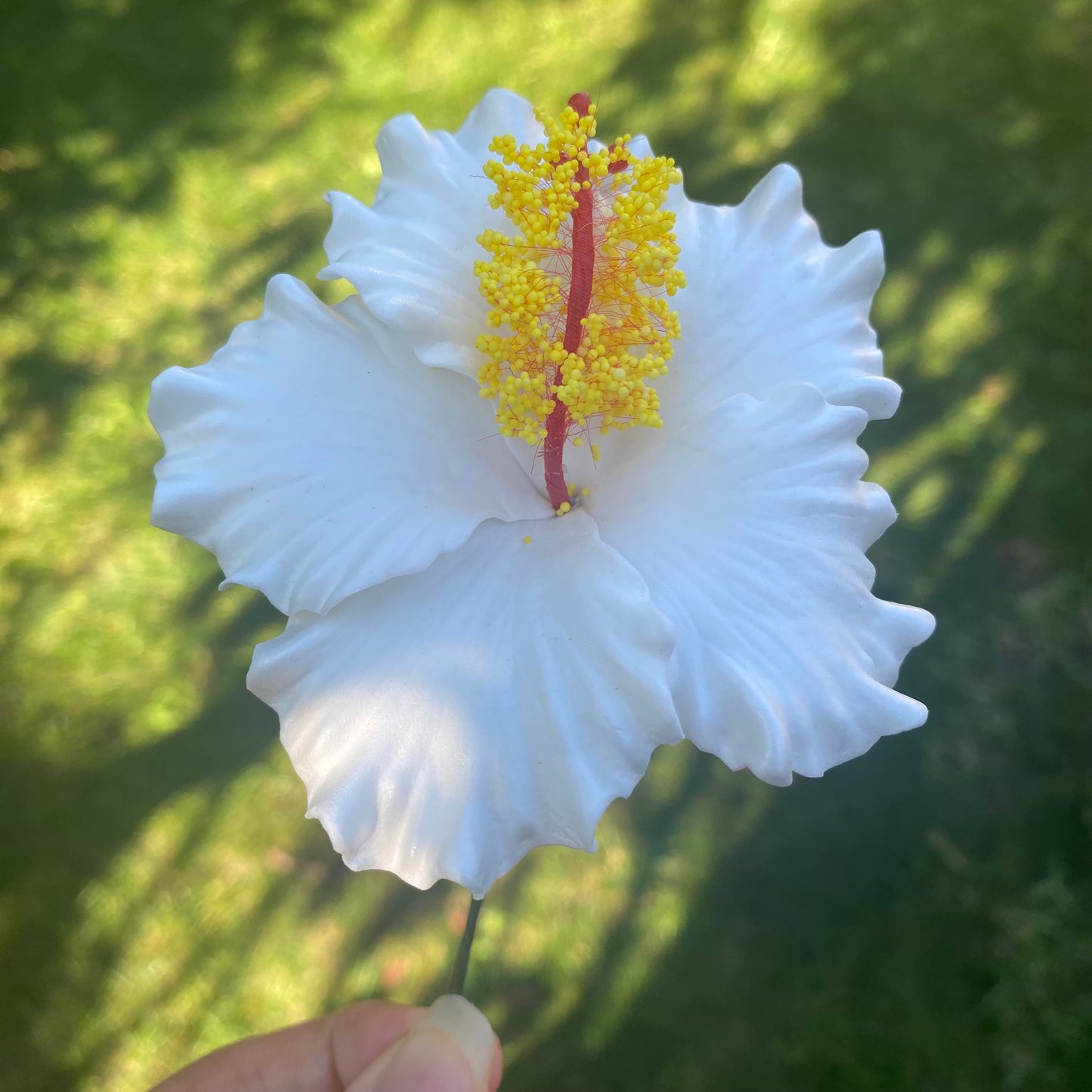 Lagi White Hibiscus Sei Gift Box (12x) Aute Value Pack Hair Flowers Tekiteki