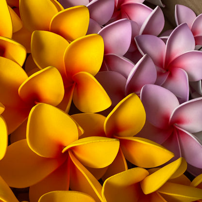 Amaia Large Frangipani Sei Faux Hair Flowers Pacific Islander Womens Accessories 9cm Tekiteki - Island Aesthetica