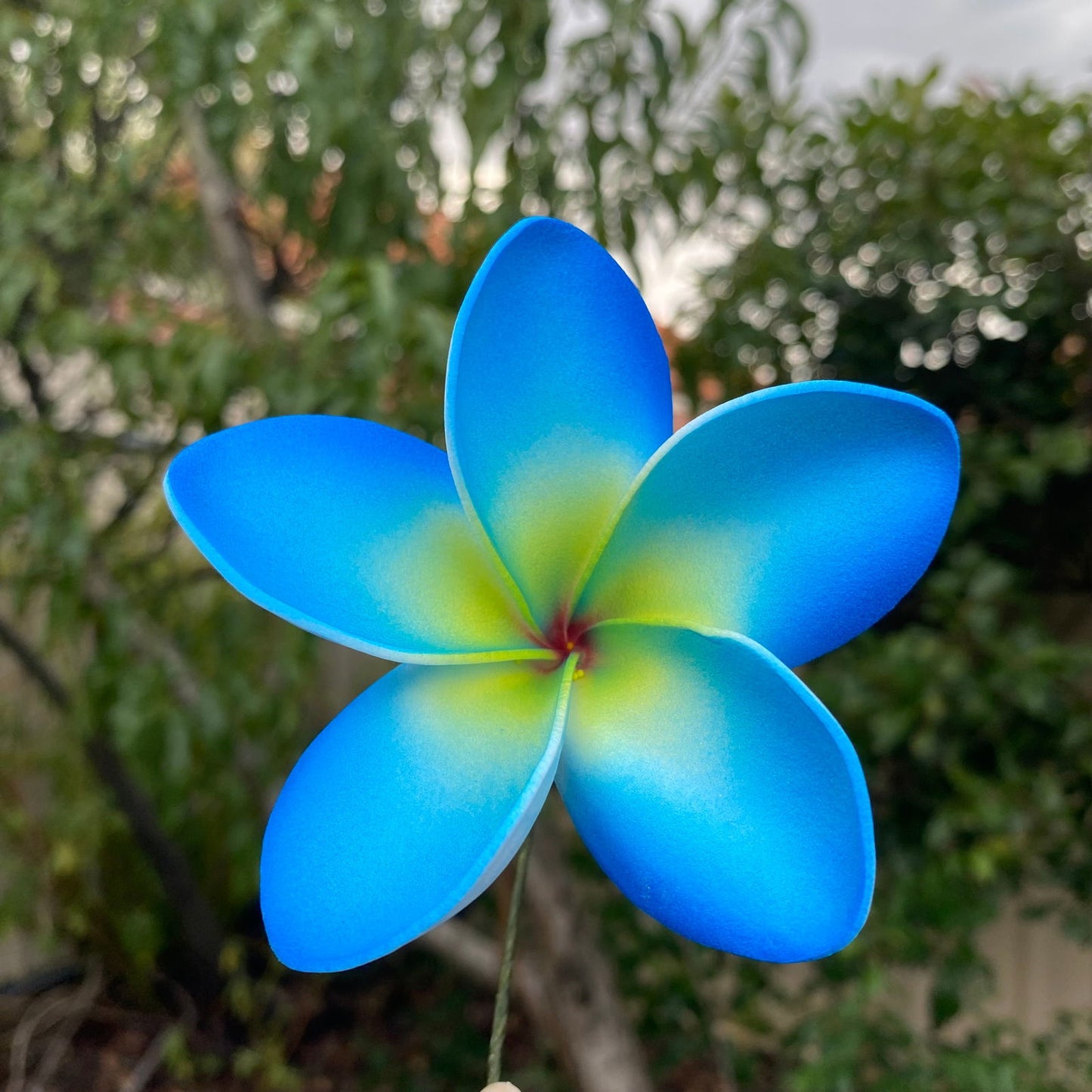 Cataleya Large Frangipani Sei Faux Hair Flowers Pacific Islander Womens Accessories 9cm Tekiteki - Island Aesthetica