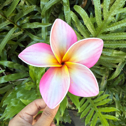 Atalina Frangipani Sei Flowers Size L Pacific Islands Polynesian Hair Flowers Pua