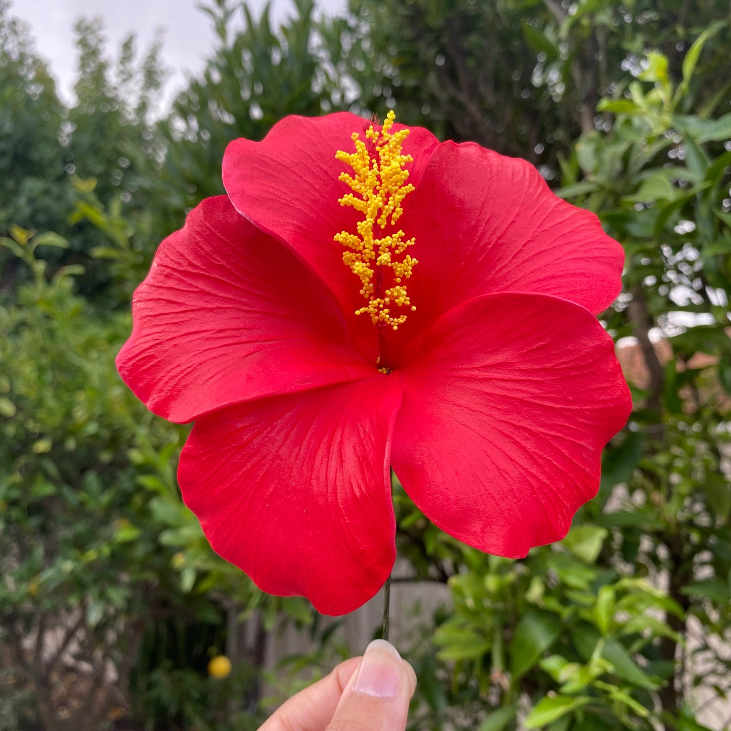 Hahana Classic XL Hibiscus Polynesian Sei Artificial Hair Flowers 12.5cm