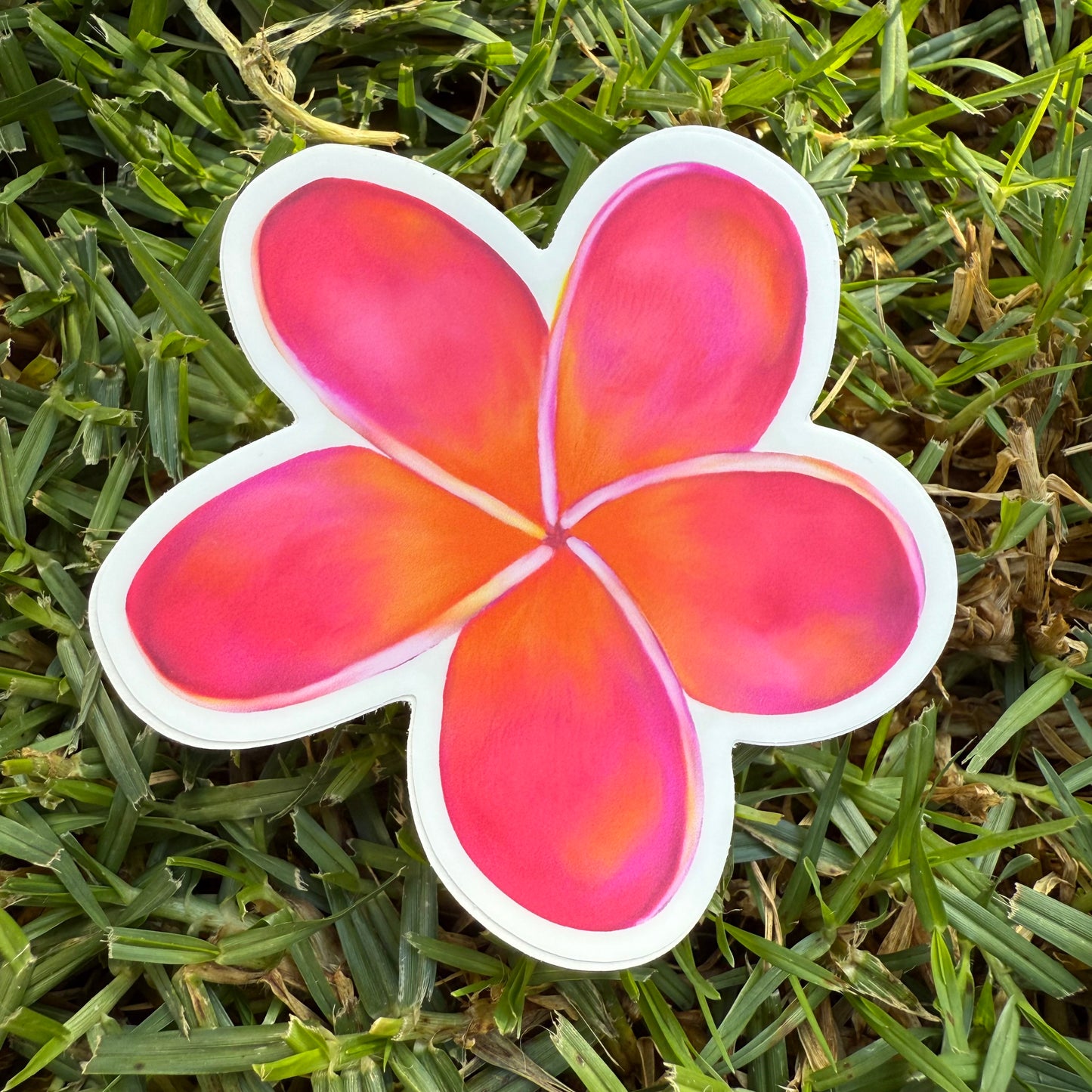 Plumeria Stickers