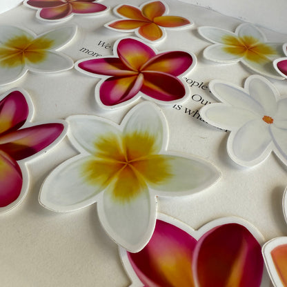 Plumeria Stickers