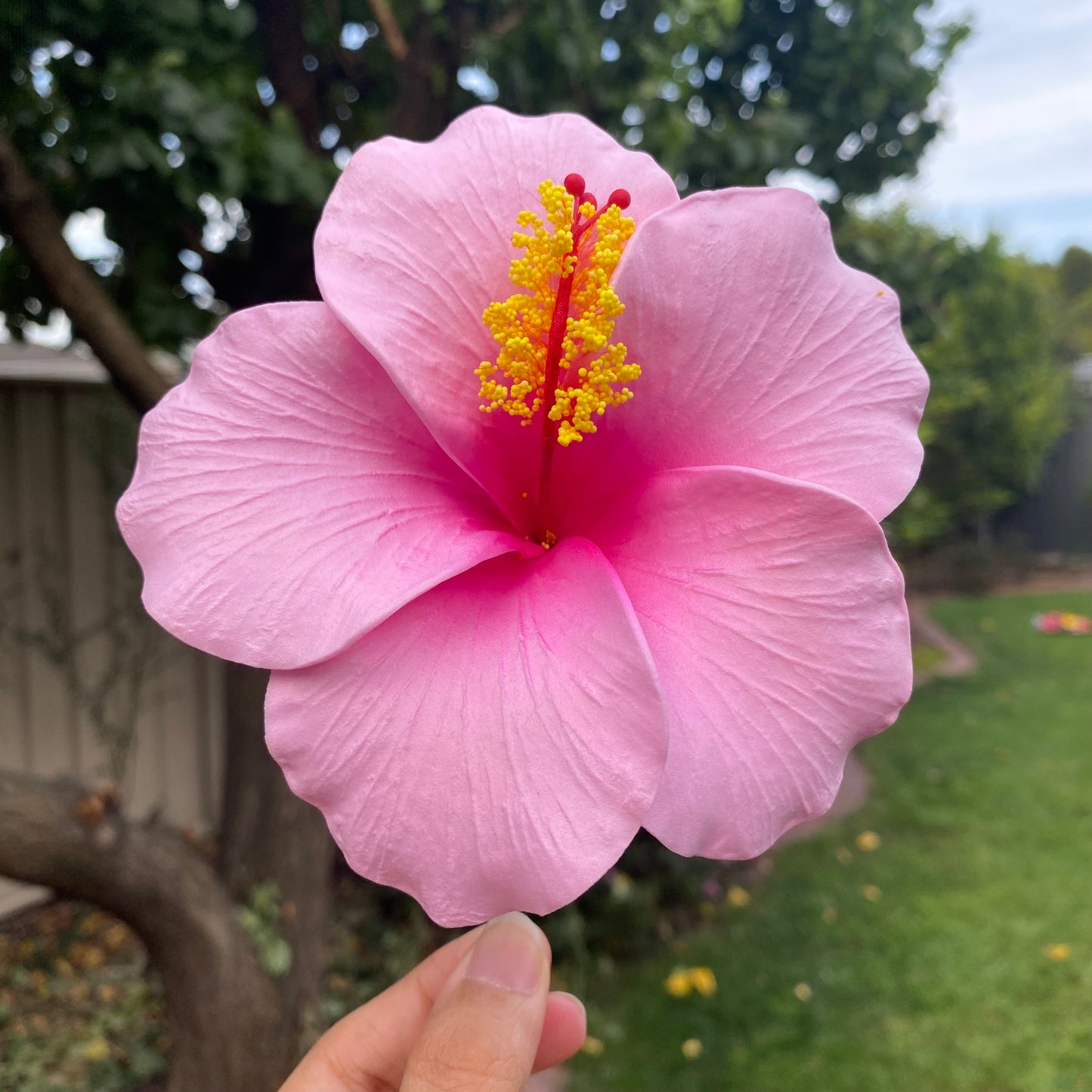 Hahana Classic XL Hibiscus Polynesian Sei Artificial Hair Flowers 12.5cm