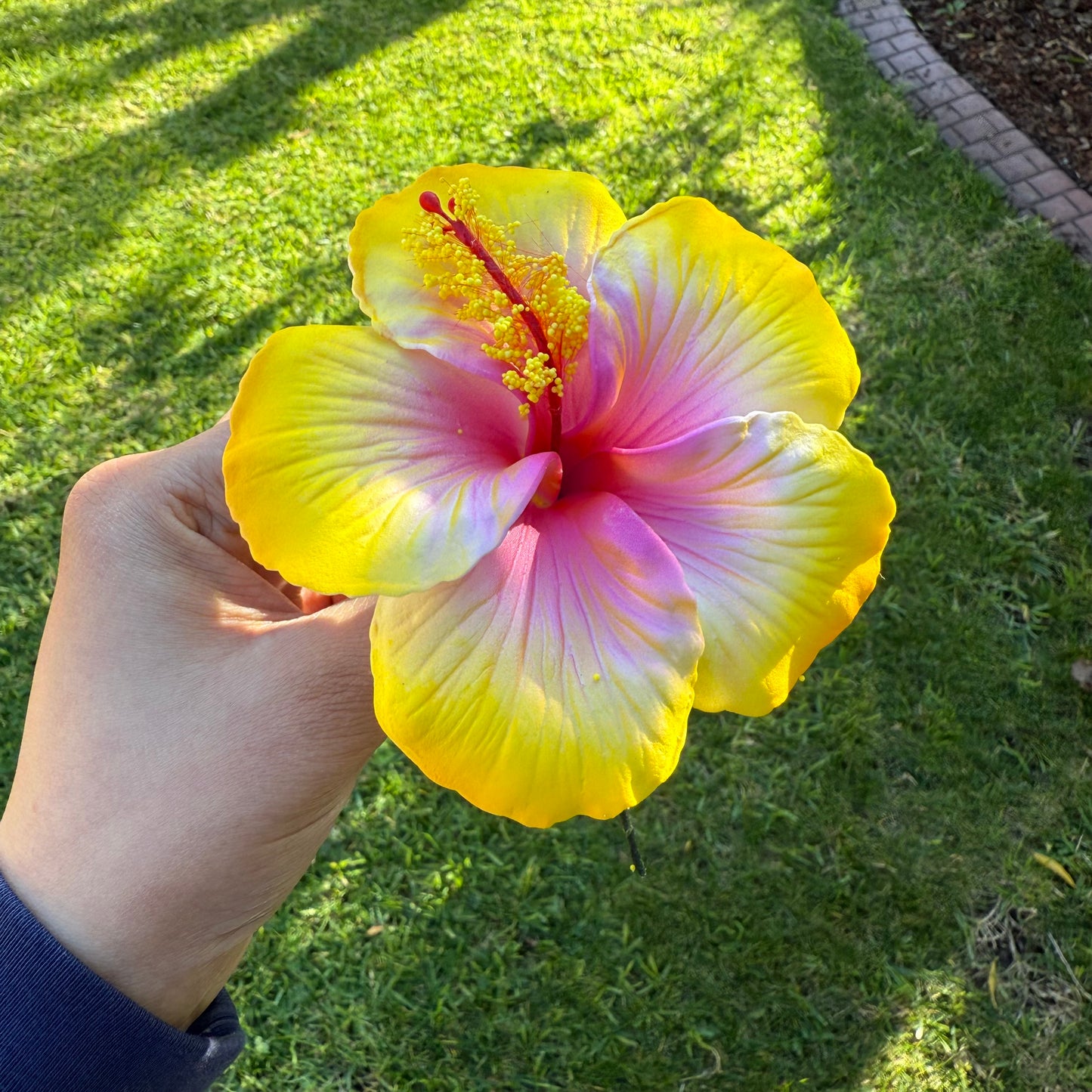 Kaia XL Gradient Hibiscus Flowers 11cm