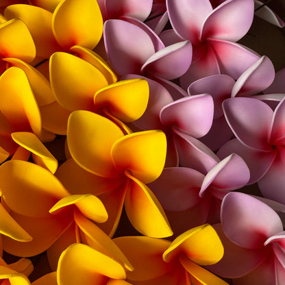 Amaia Large Frangipani Sei Faux Hair Flowers Pacific Islander Womens Accessories 9cm Tekiteki - Island Aesthetica