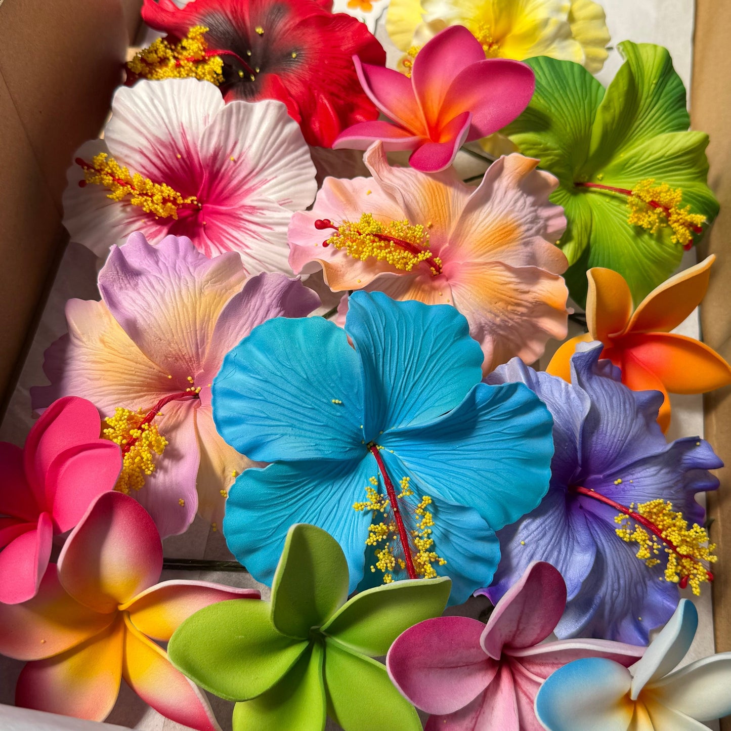 Hinemoa Assorted Gift Box (15x)