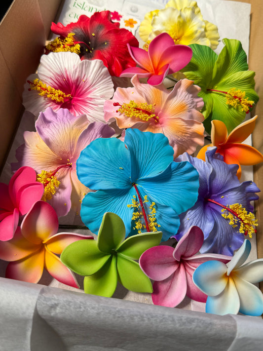 Hinemoa Assorted Gift Box (15x)