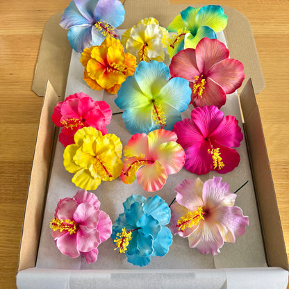 Lanuola XL & Double Hibiscus Gift Set (13x)