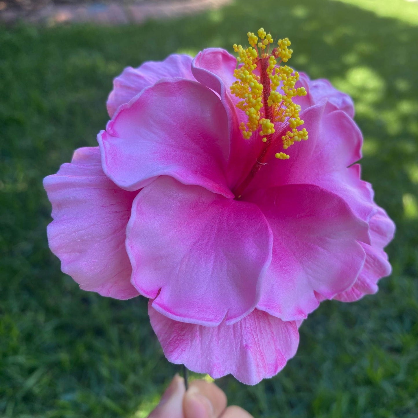 Double Hibiscus Sei Hair Flowers 8.5cm Aute Pasifika - Island Aesthetica