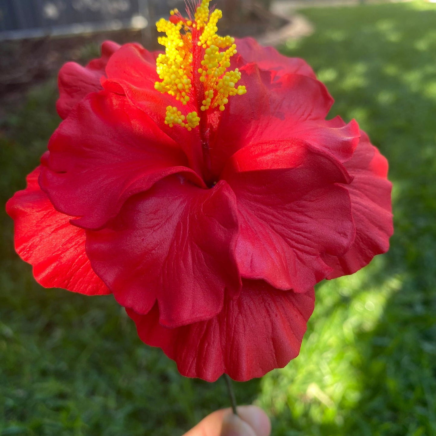 Double Hibiscus Sei Hair Flowers 8.5cm Aute Pasifika - Island Aesthetica