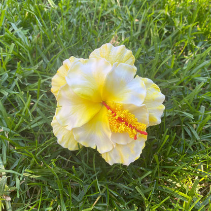 Double Hibiscus Sei Hair Flowers 8.5cm Aute Pasifika - Island Aesthetica