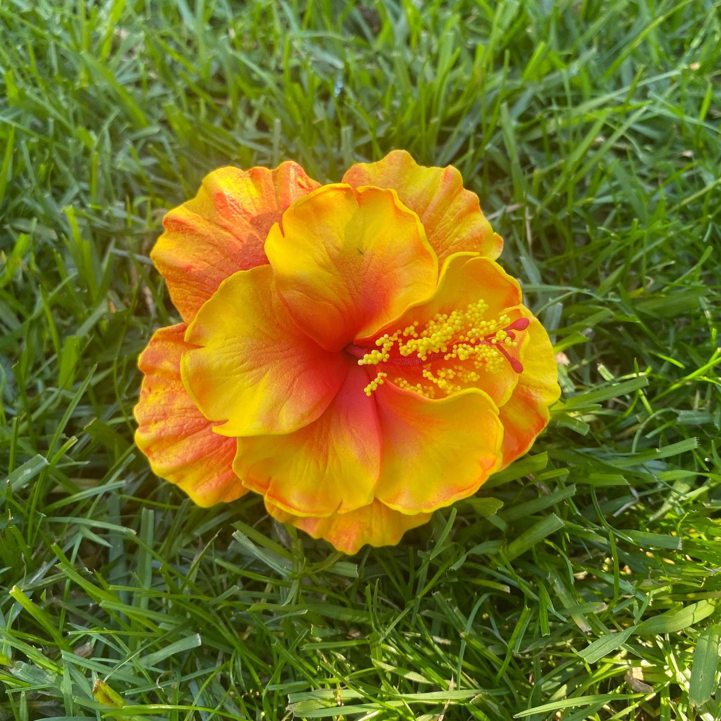 Double Hibiscus Sei Hair Flowers 8.5cm Aute Pasifika - Island Aesthetica