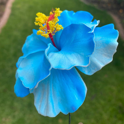 Double Hibiscus Sei Hair Flowers 8.5cm Aute Pasifika - Island Aesthetica