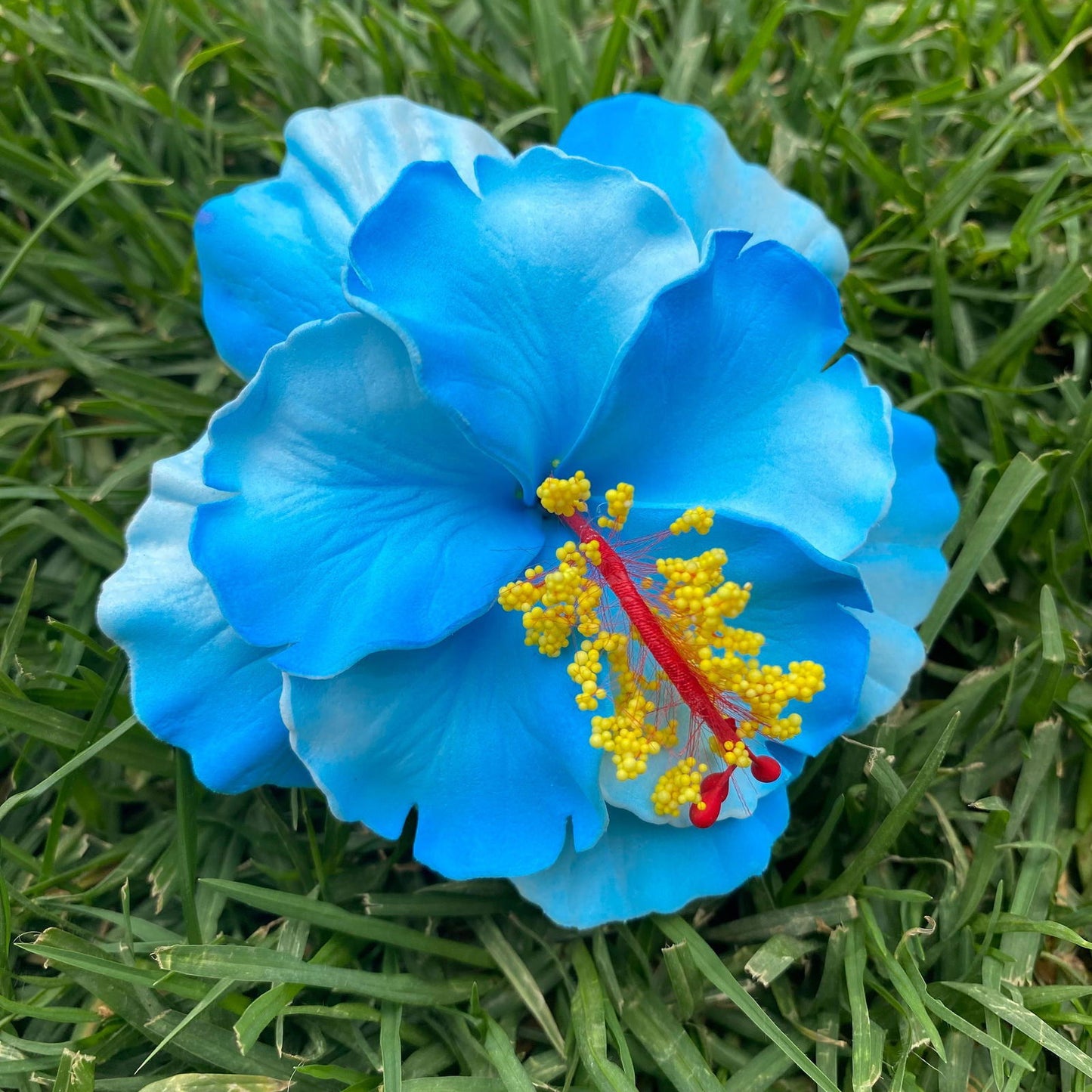 Double Hibiscus Sei Hair Flowers 8.5cm Aute Pasifika - Island Aesthetica