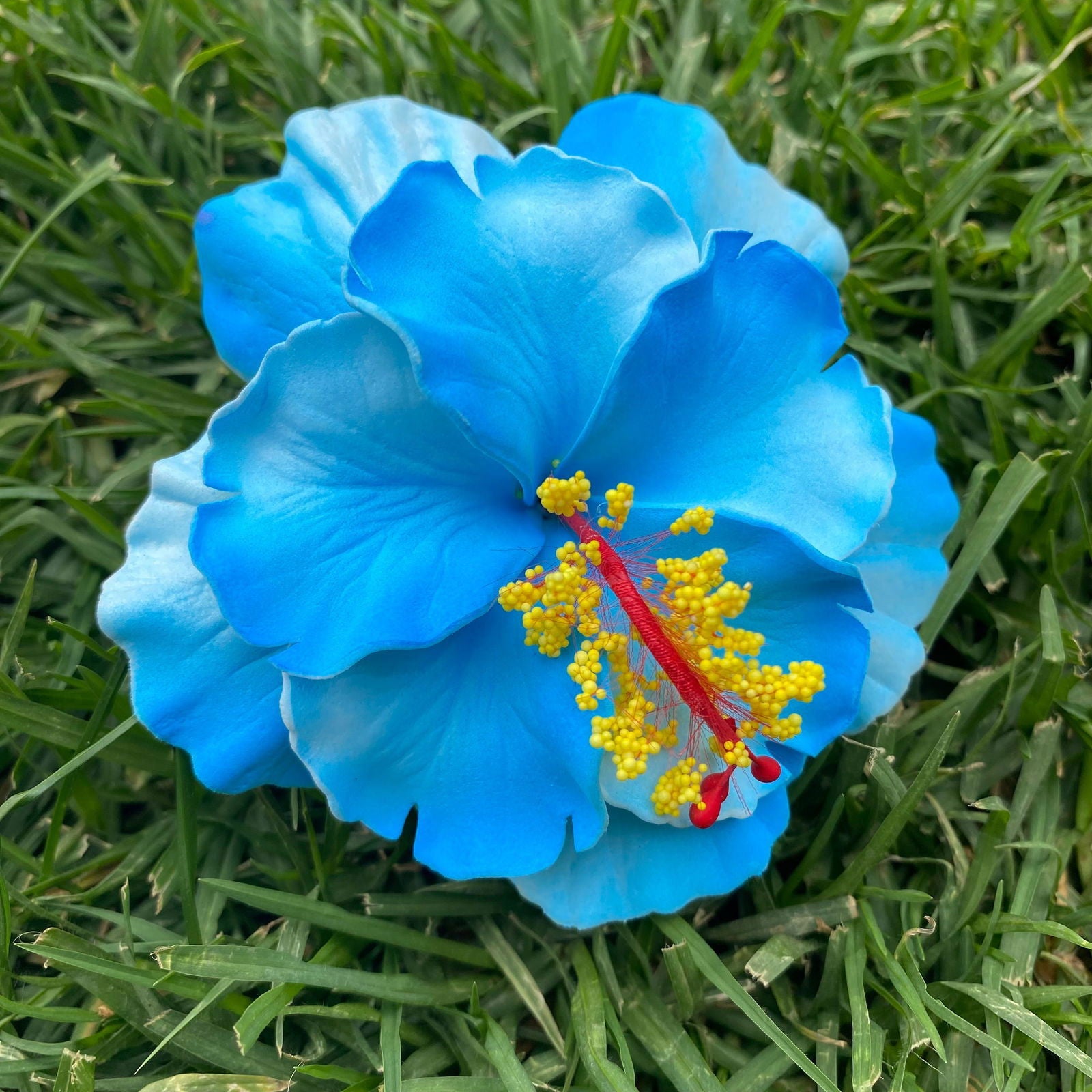 Double Hibiscus Sei Hair Flowers 8.5cm Aute Pasifika - Island Aesthetica