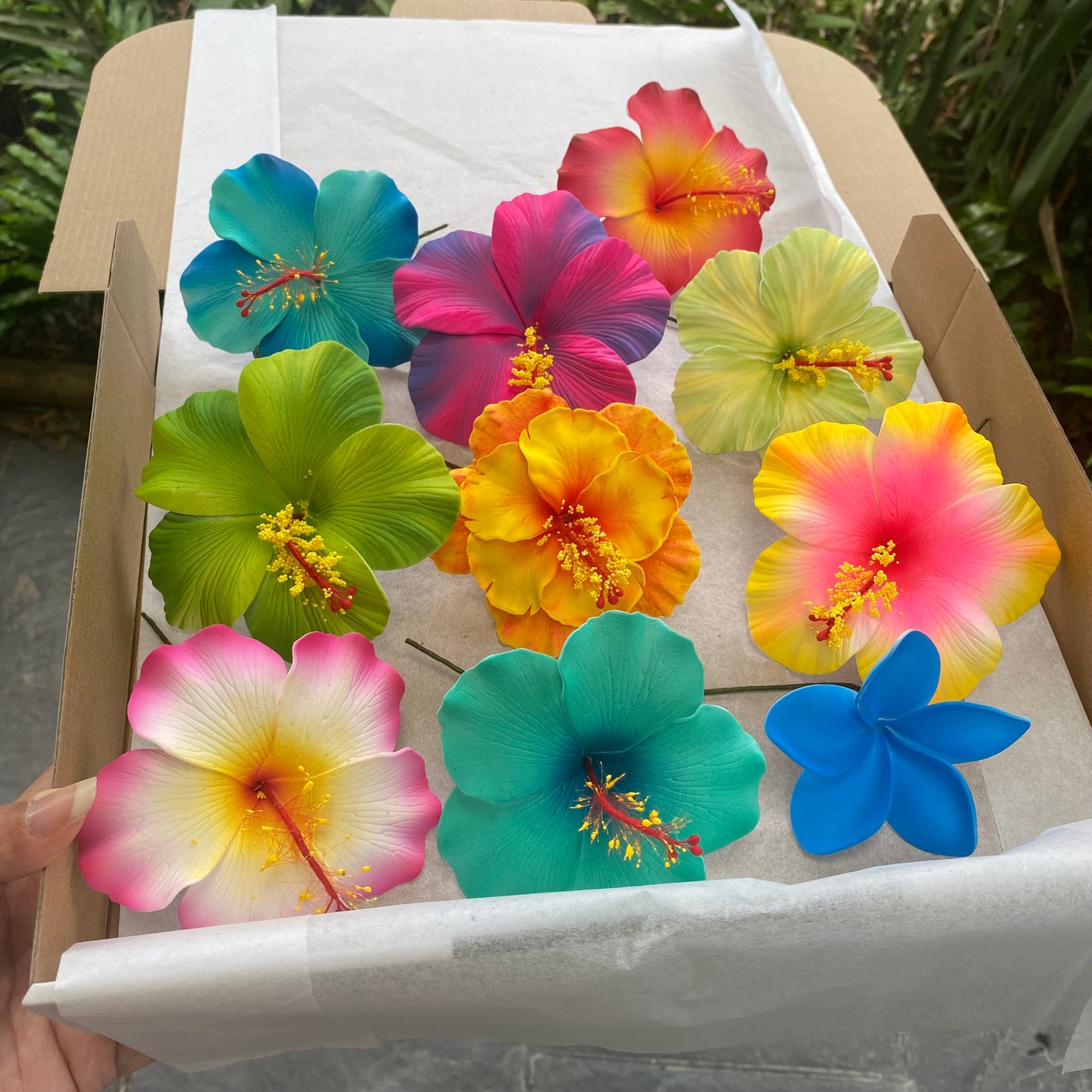 Aofia Gift Box (10x) Sei Aute Hair Flowers