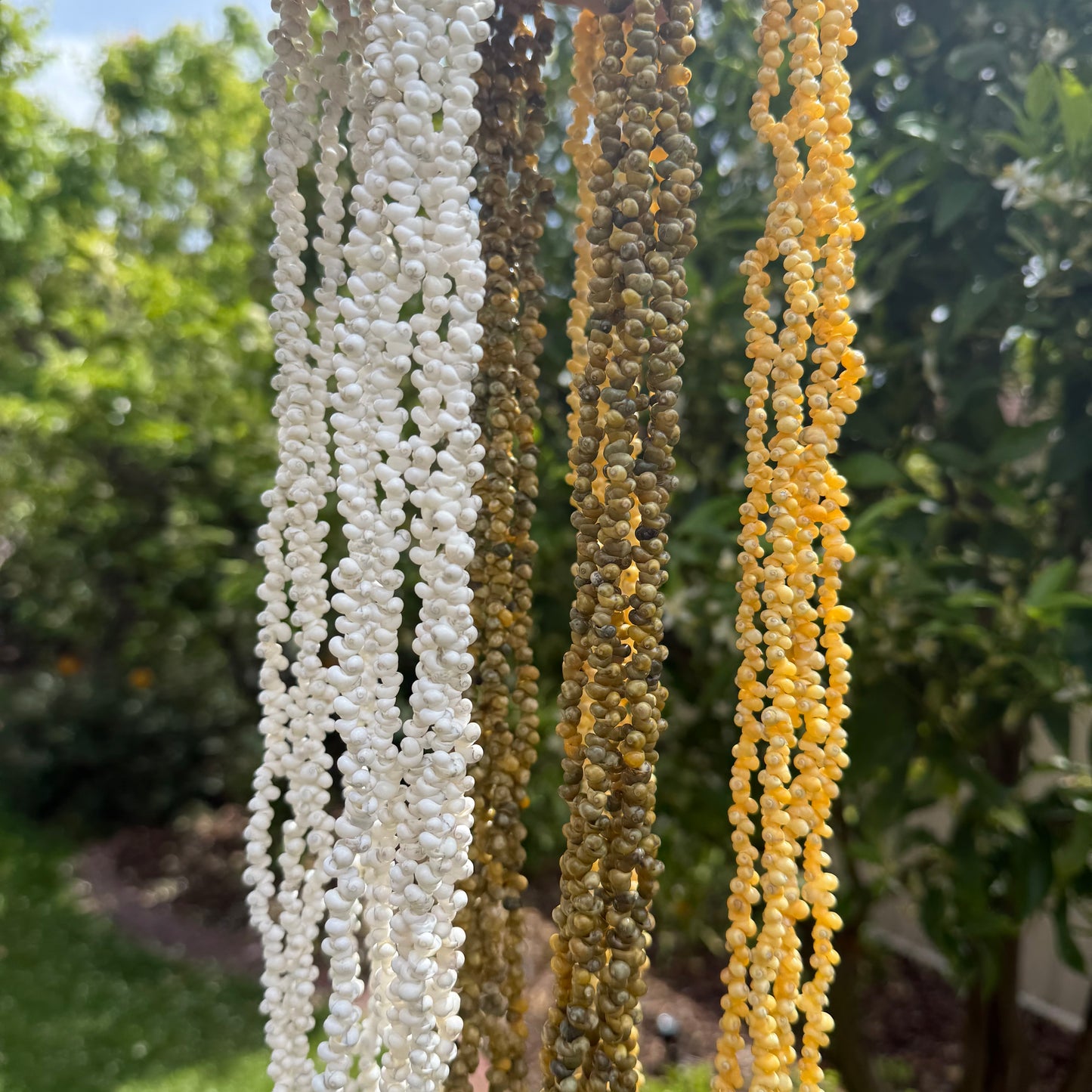 Ula Sisi Shell Necklace 40cm Length