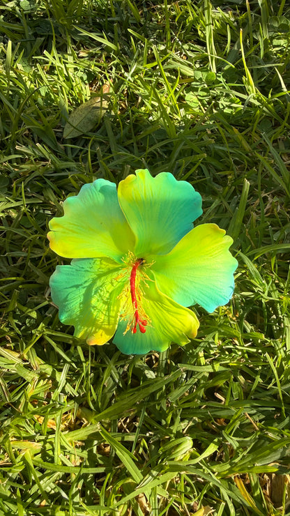 XL Gradient Hibiscus Polynesian Sei Hair Flowers 10cm