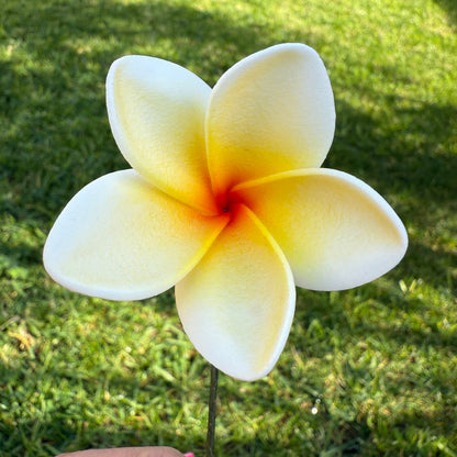 Maile XS Frangipani Sei Flowers 5cm