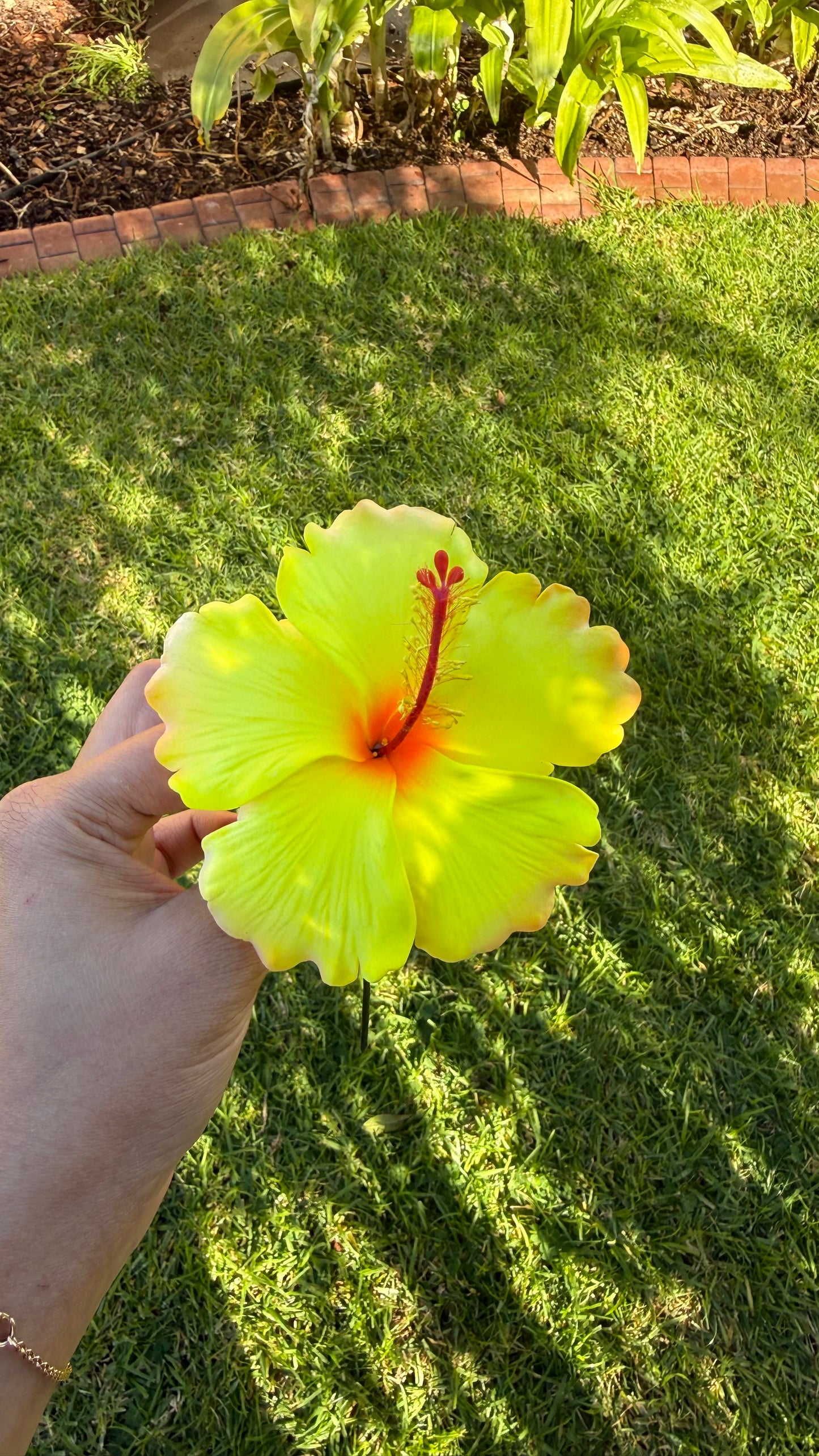XL Gradient Hibiscus Polynesian Sei Hair Flowers 10cm